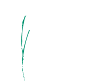 beargrass marketing